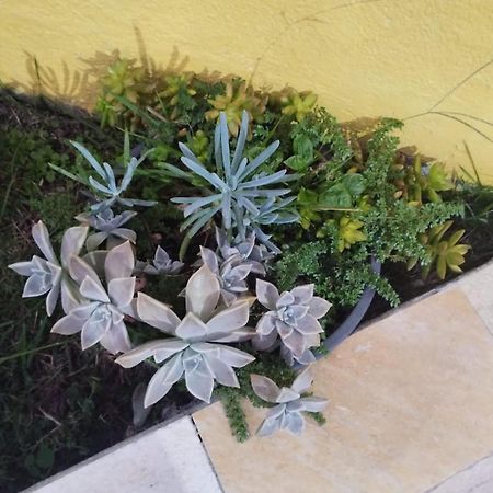 Pousada Agua Marinha Caraguatatuba Ngoại thất bức ảnh